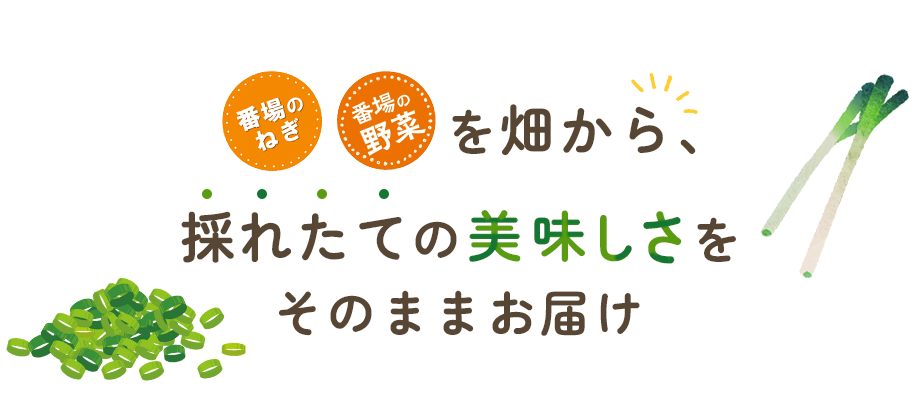 番場のねぎ・番場の野菜を畑から、採れたての美味しさをそのままお届け